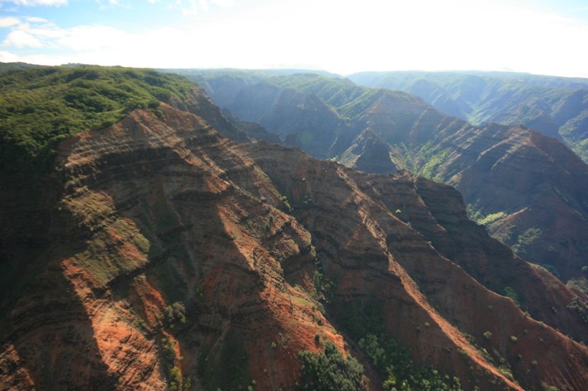 Waimea Canyon, Kauai: Back to the canyon? Well, the cameras were slightly out of sync and I can't be bothered to move this photo to be with the rest.