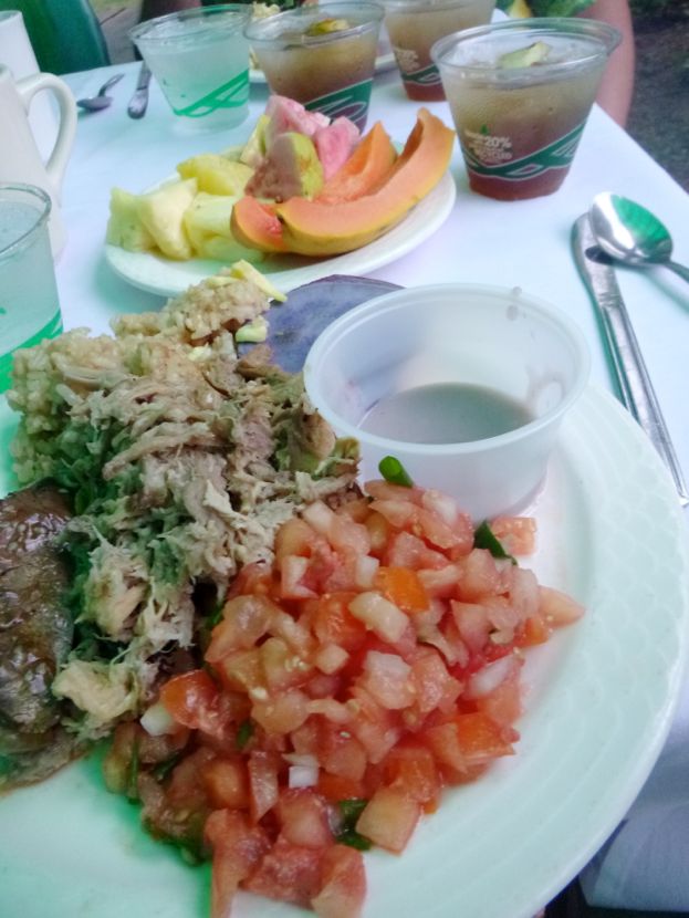 luau food (kalua pig, teriyake steak, salmon/tomato salad, poi, sweet potato & fruit plate)