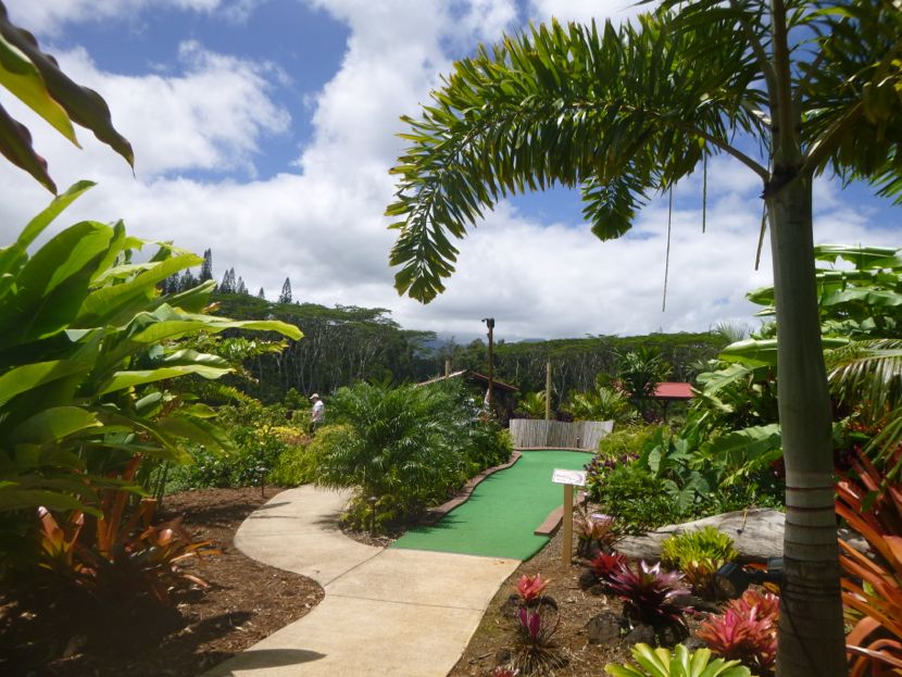 more hawaiian mini golf