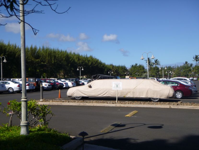 parked limo