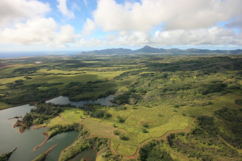 Kauai by helicopter (one last vista)