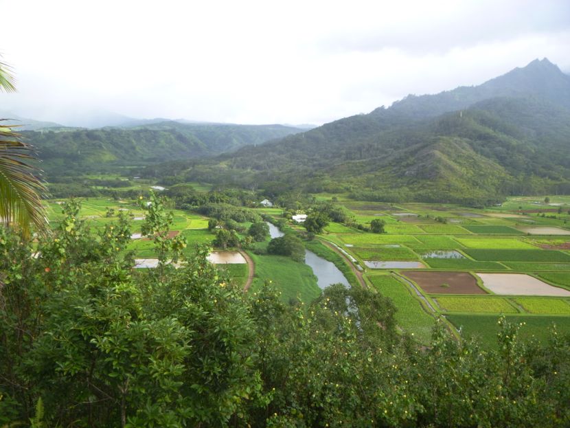 Hanalei valley